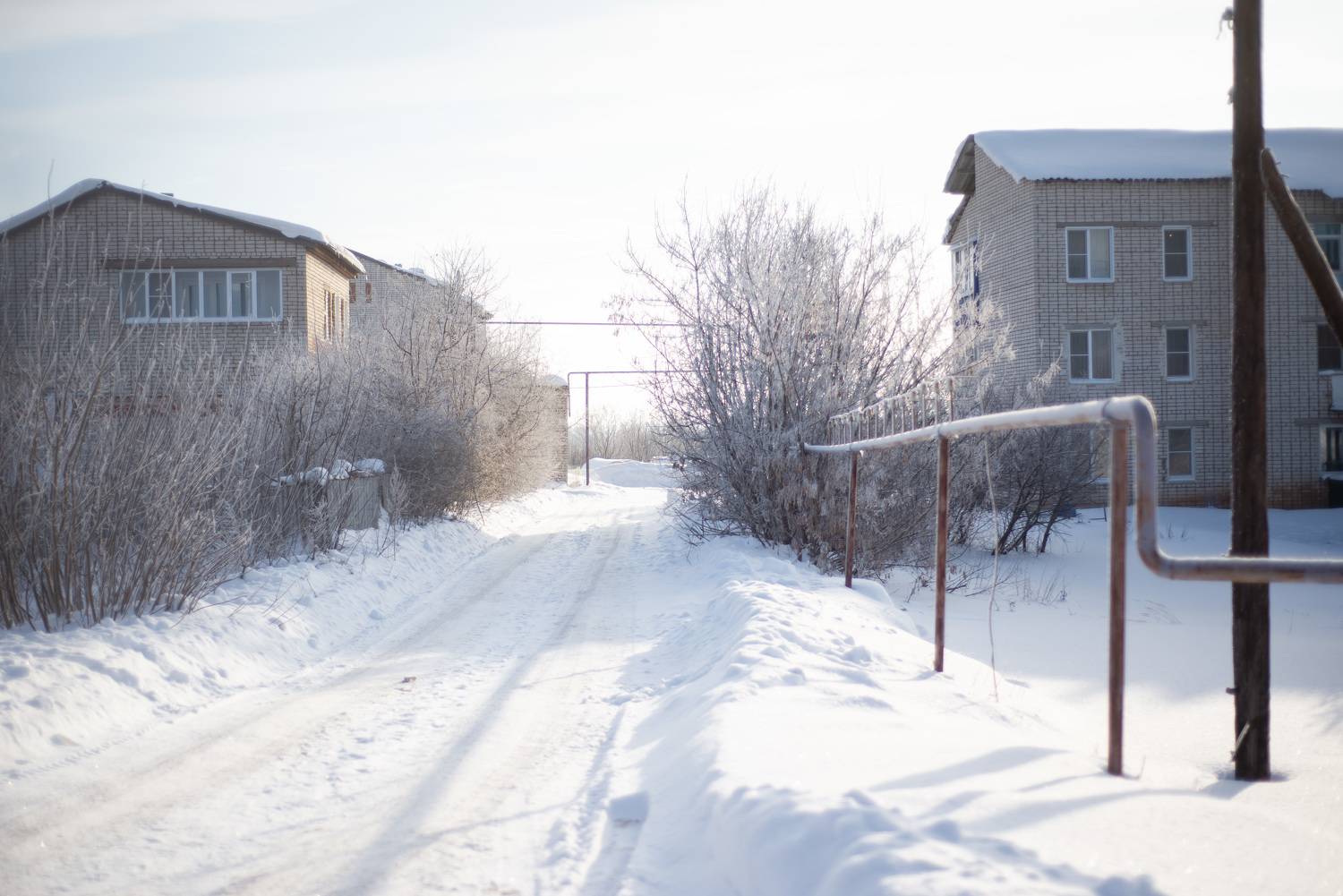 Фотография #11606732