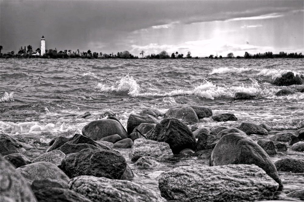 Photograph by A. G. Bisschop