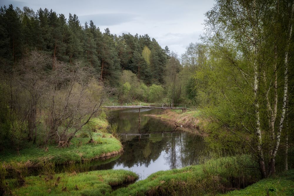 Фотография автора Илья Большаков