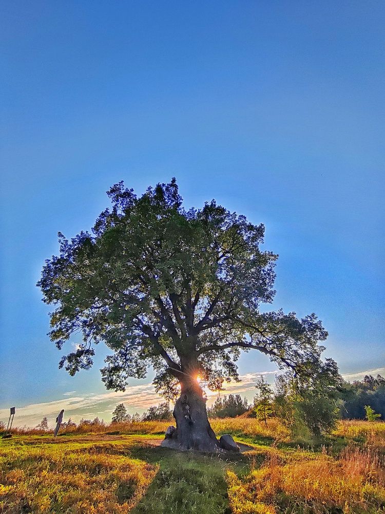 Photograph by Александр Кропп