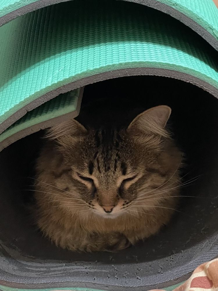 Photograph by Татьяна Токарева