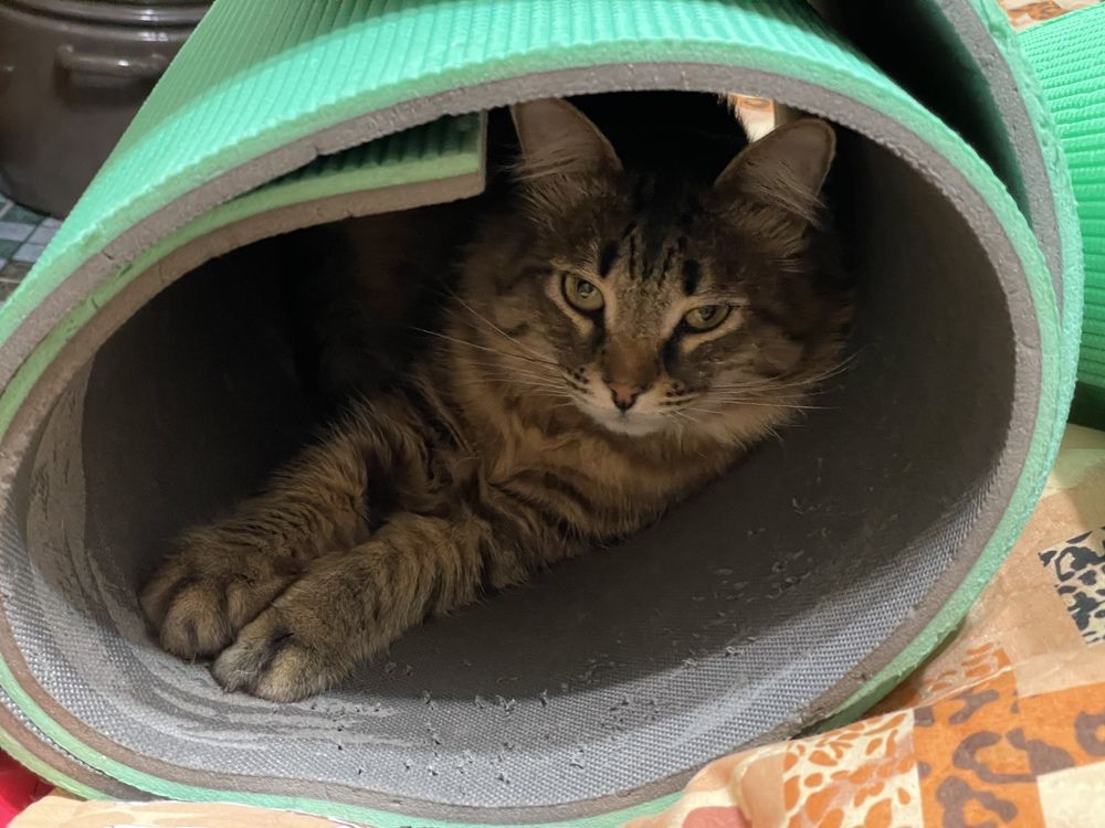 Photograph by Татьяна Токарева