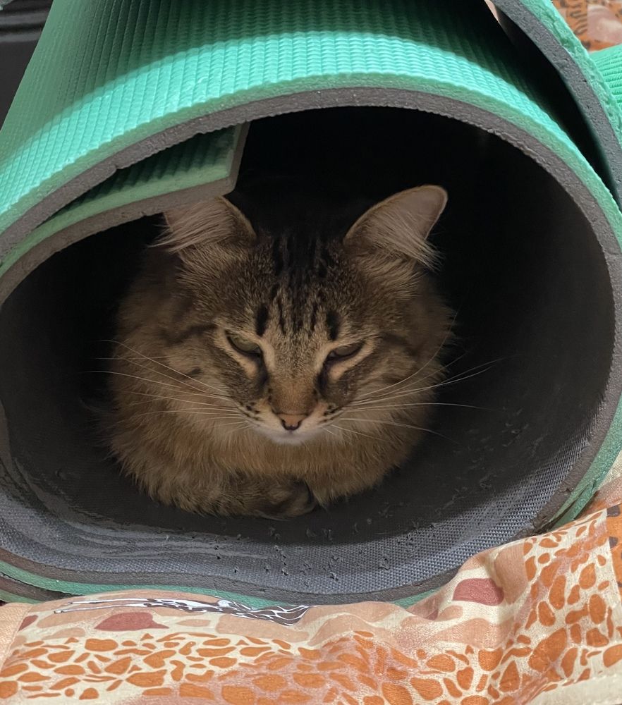 Photograph by Татьяна Токарева