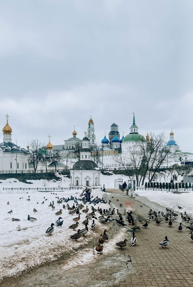 Photograph by Мария Петровцева