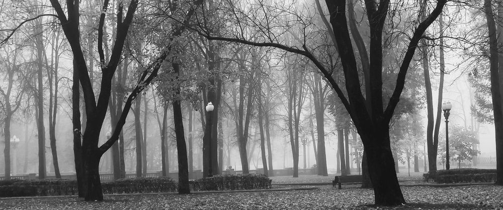 Photograph by Halina Basyanok