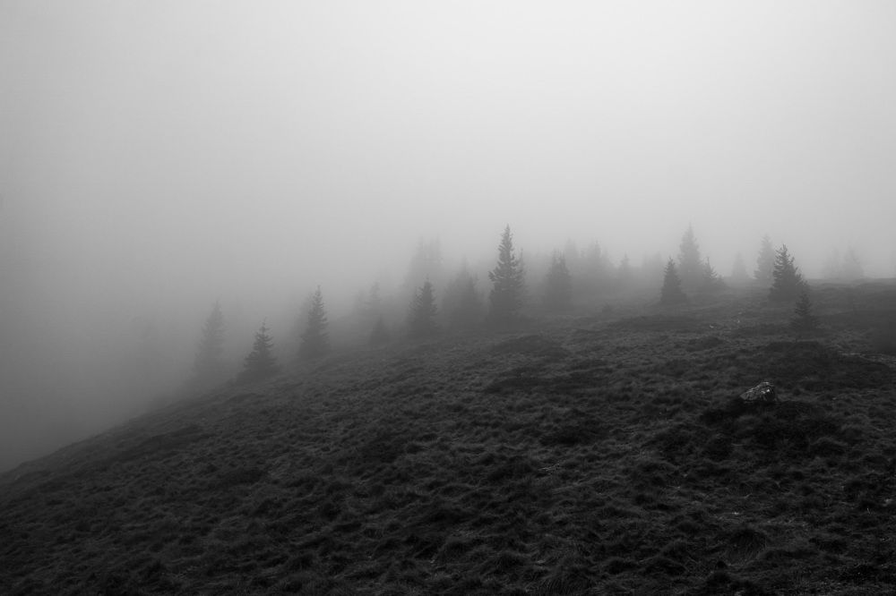 Photograph by Marija Kordić