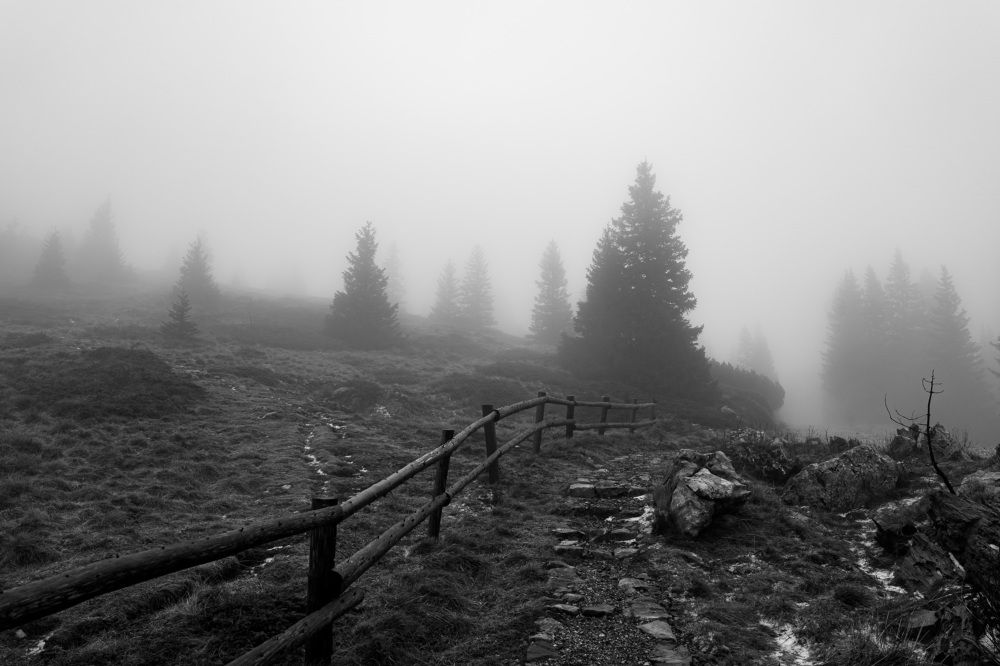 Photograph by Marija Kordić