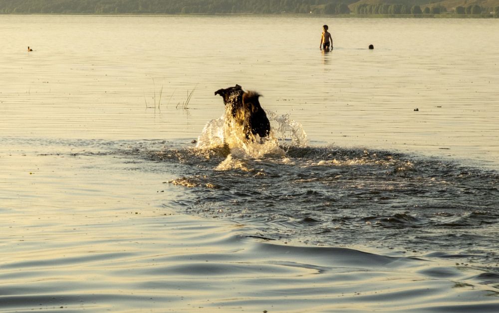Фотография автора Наталья Липовская