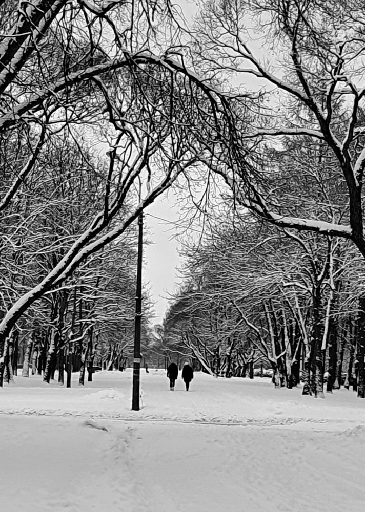 Photograph by Александра Борисовна