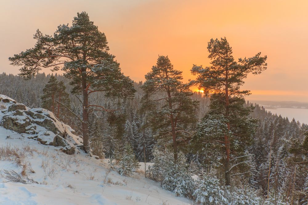 Photograph by Александр Литвинов