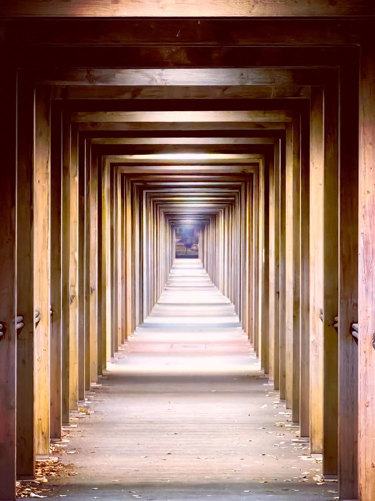 Photograph by Жучков Дмитрий