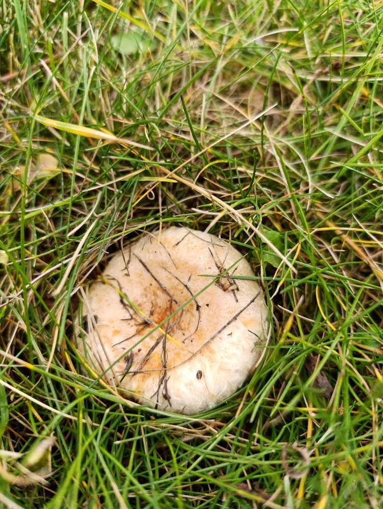 Фотография автора Андрей