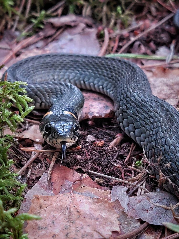 Photograph by Leanid Kulpo