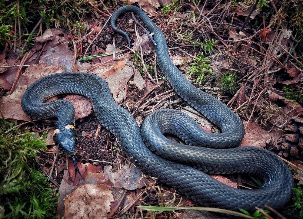 Photograph by Leanid Kulpo