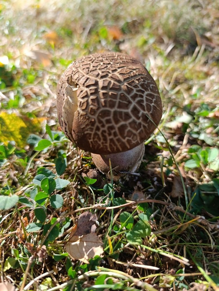 Фотография автора Андрей