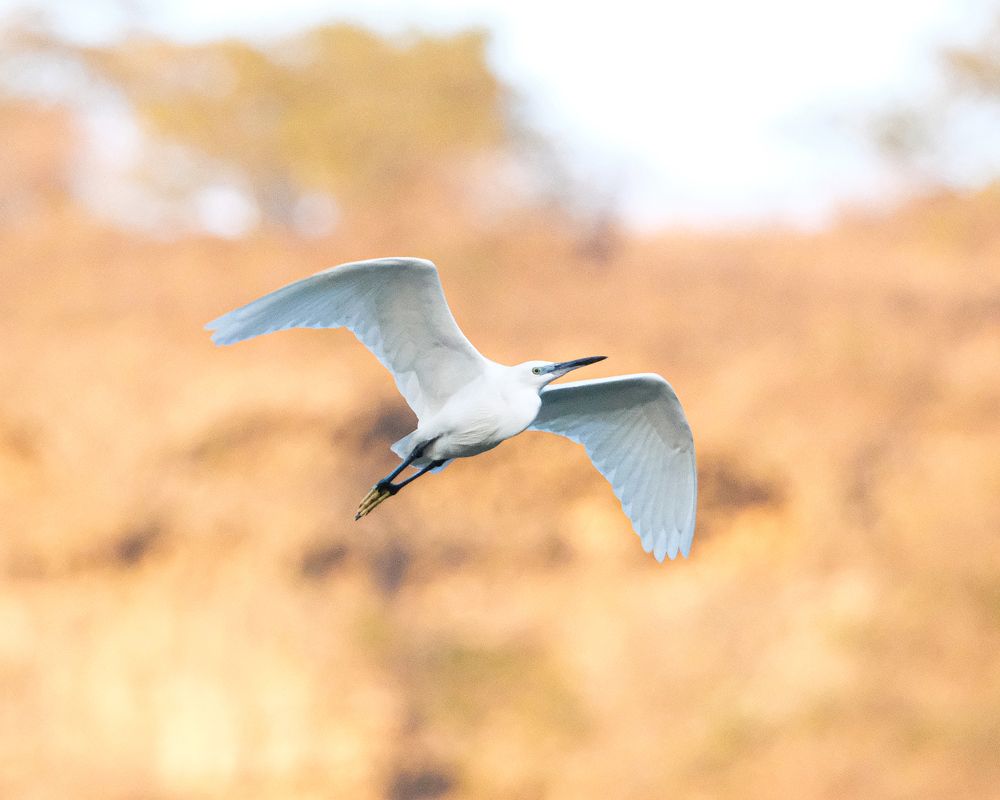 Photograph by Shaas AL Najjar