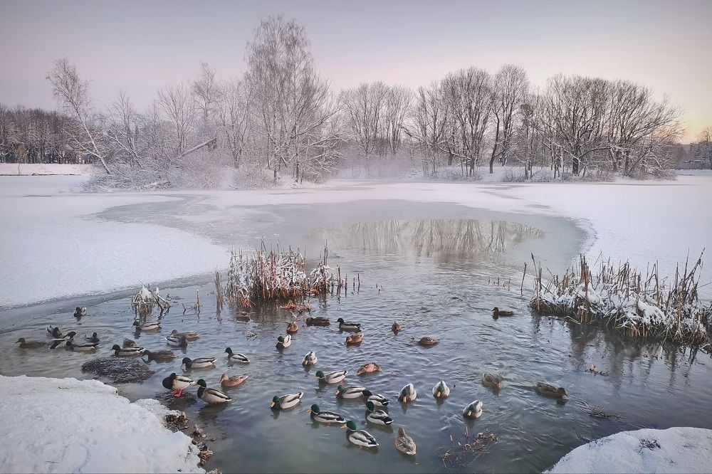Фотография автора Анатолий Дауров