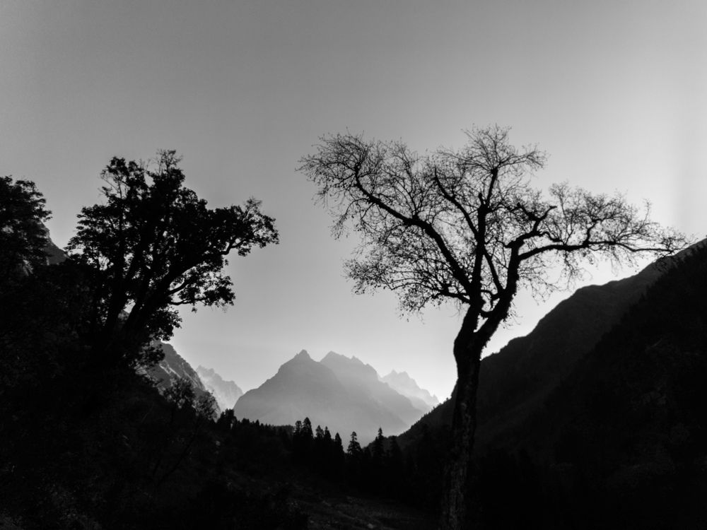 Photograph by Pritam Majumder