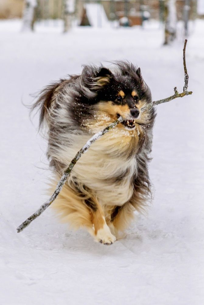 Photograph by Людмила Воробьева