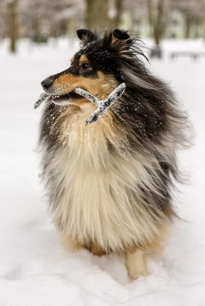 Photograph by Людмила Воробьева