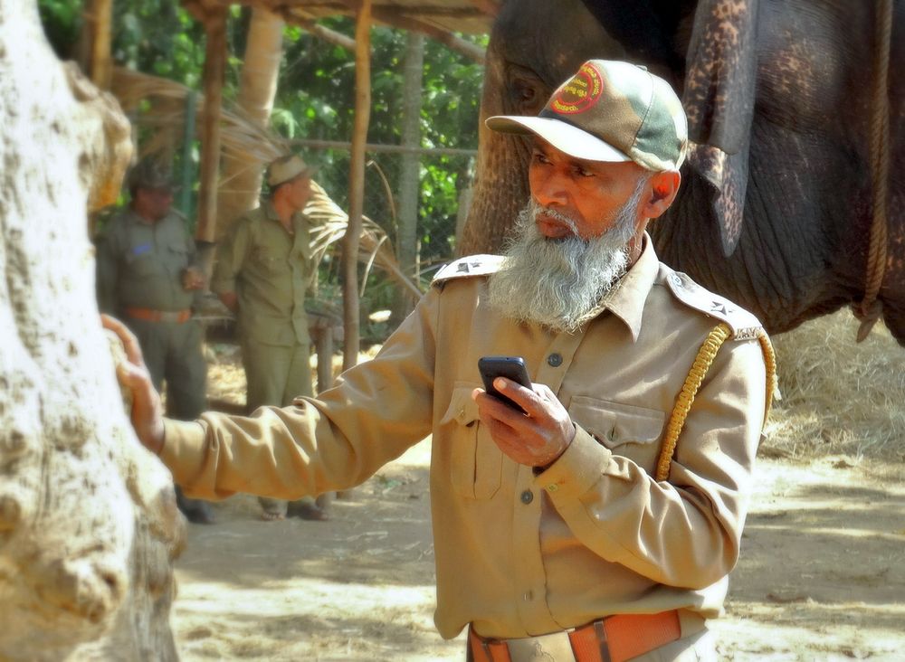 Возраст работе не помеха