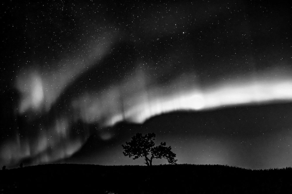 Photograph by Tanzilya Gabidullina