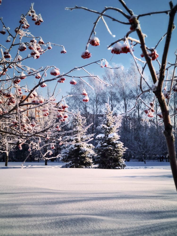 Photograph by Людмила Григорьева