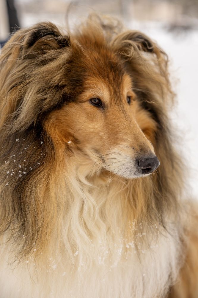 Photograph by Людмила Воробьева