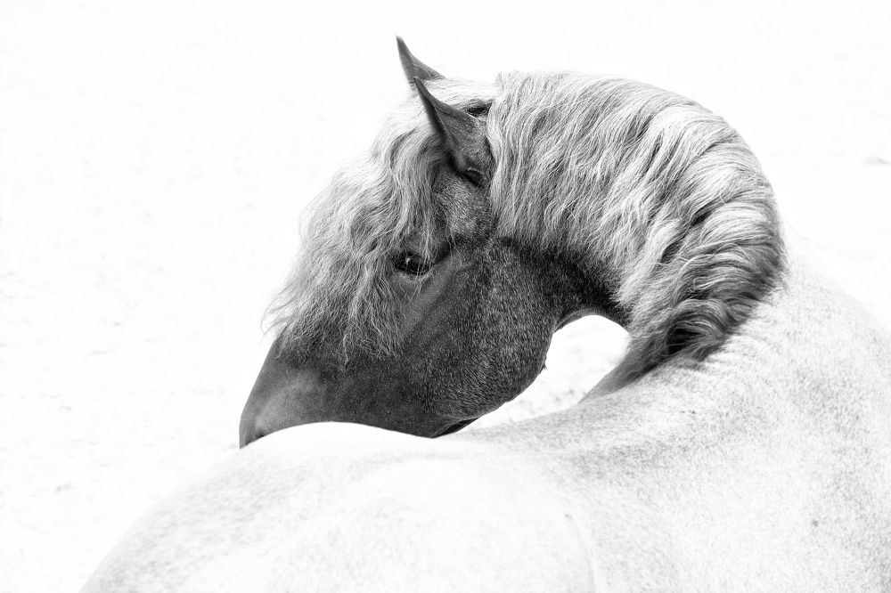 Photograph by Макари Лия