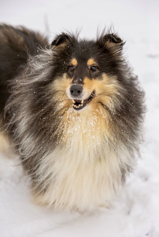 Photograph by Людмила Воробьева