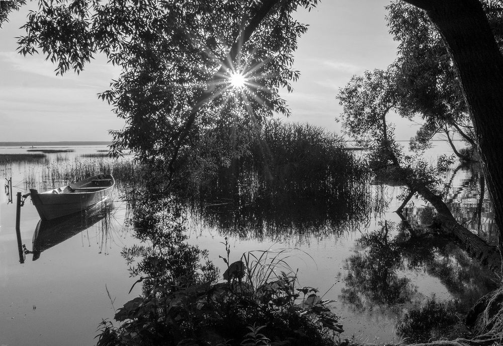 Фотография автора Наталья Липовская