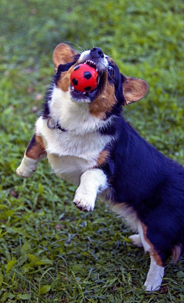 Photograph by Сергей Ключарёв