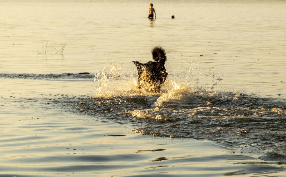 Фотография автора Наталья Липовская