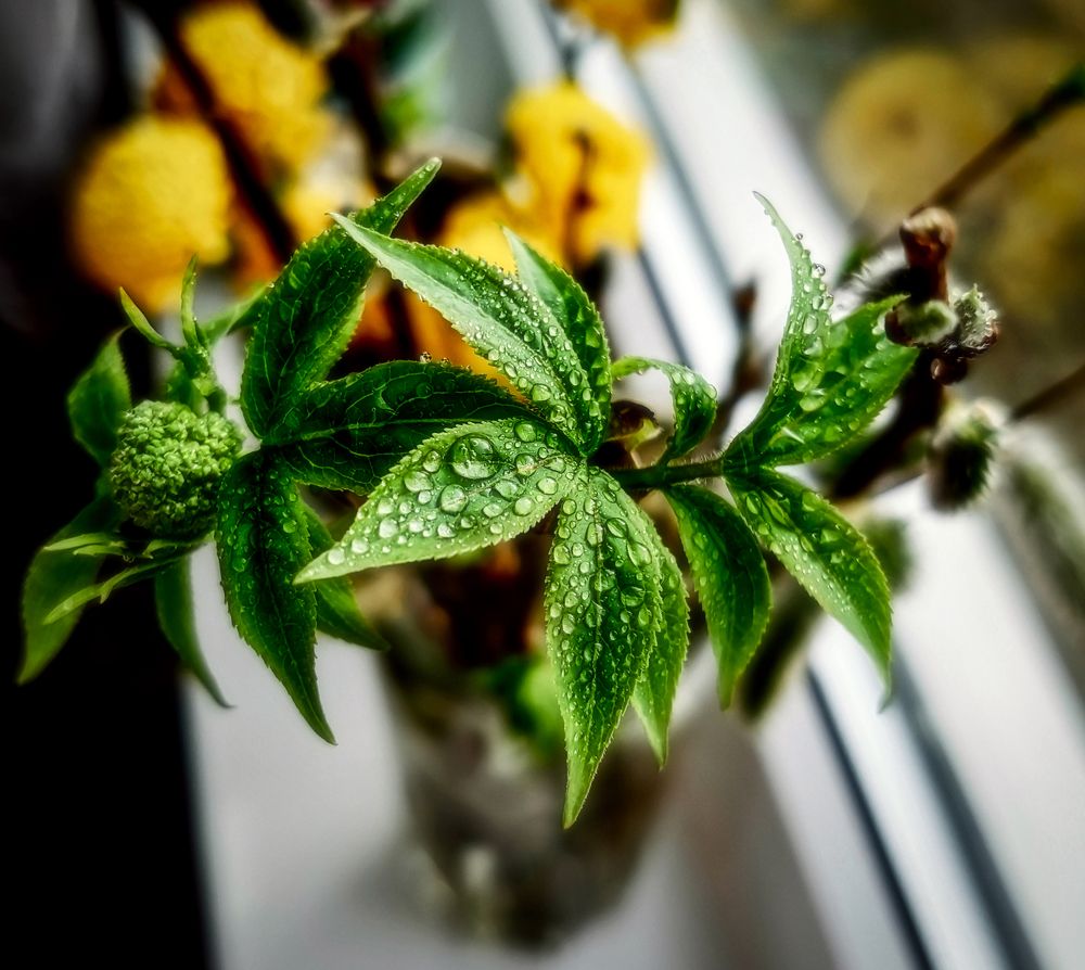 Photograph by Светлана Перминова