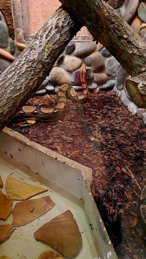 Photograph by Александра Насырова