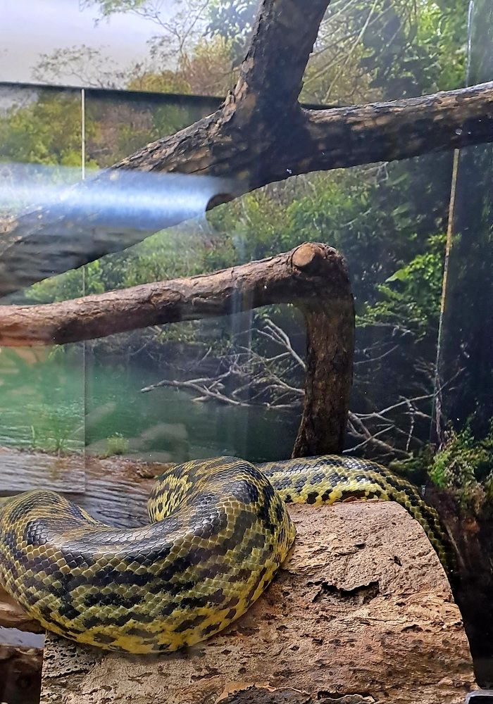 Photograph by Александра Насырова