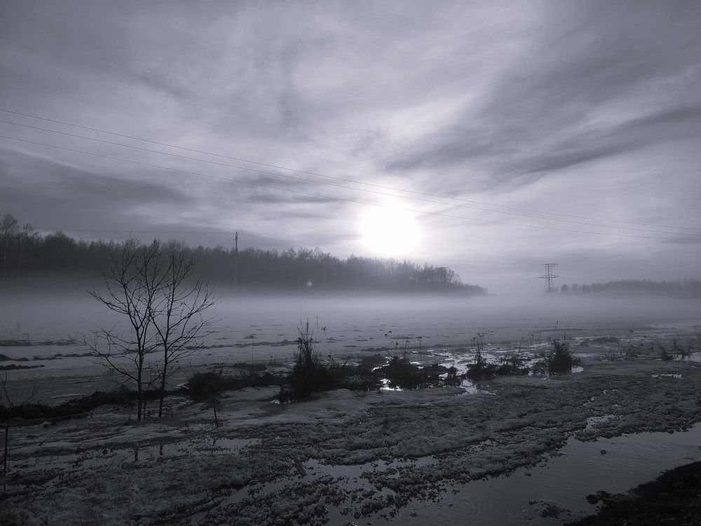 Photograph by Светлана Батурова