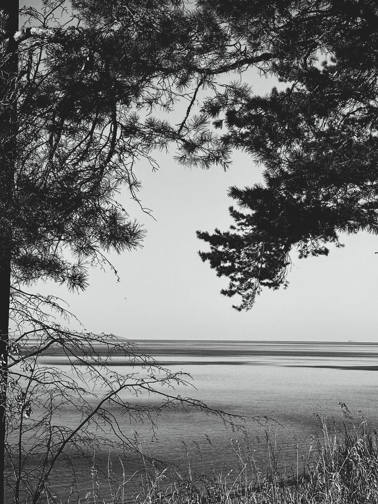 Photograph by Анастасия Короленко