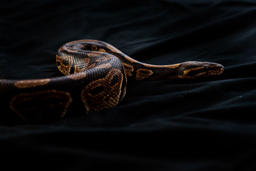 Photograph by Маргарита Матвеенкова