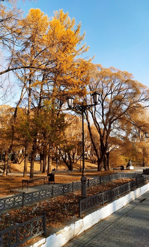 Photograph by Анна