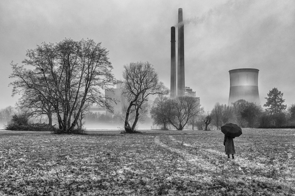 Photograph by Mostafa Mohammad Beigi