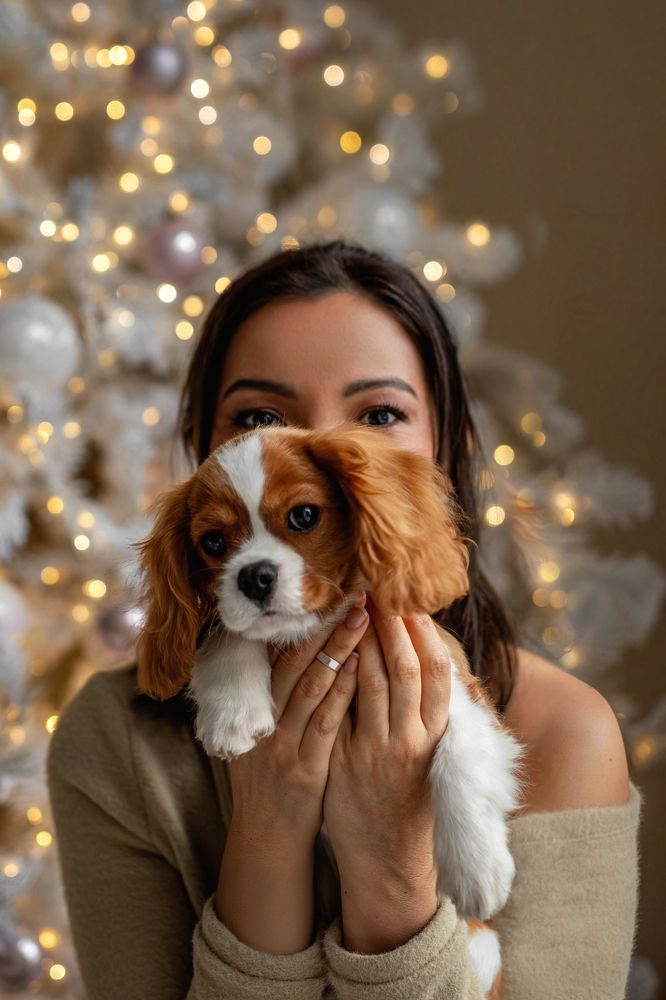 Photograph by Зубкова Юлия