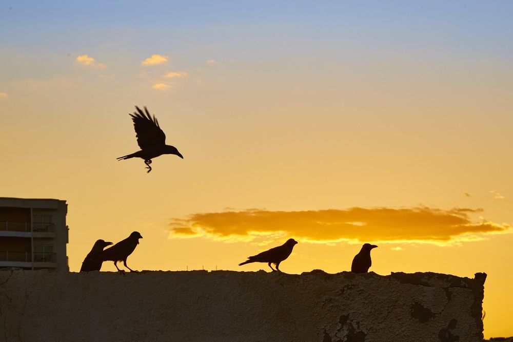 Photograph by Дмитрий Пасынков