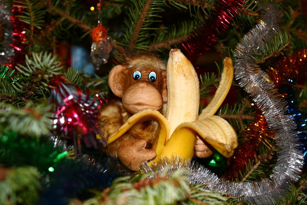 Фотография автора Сергей Кульков