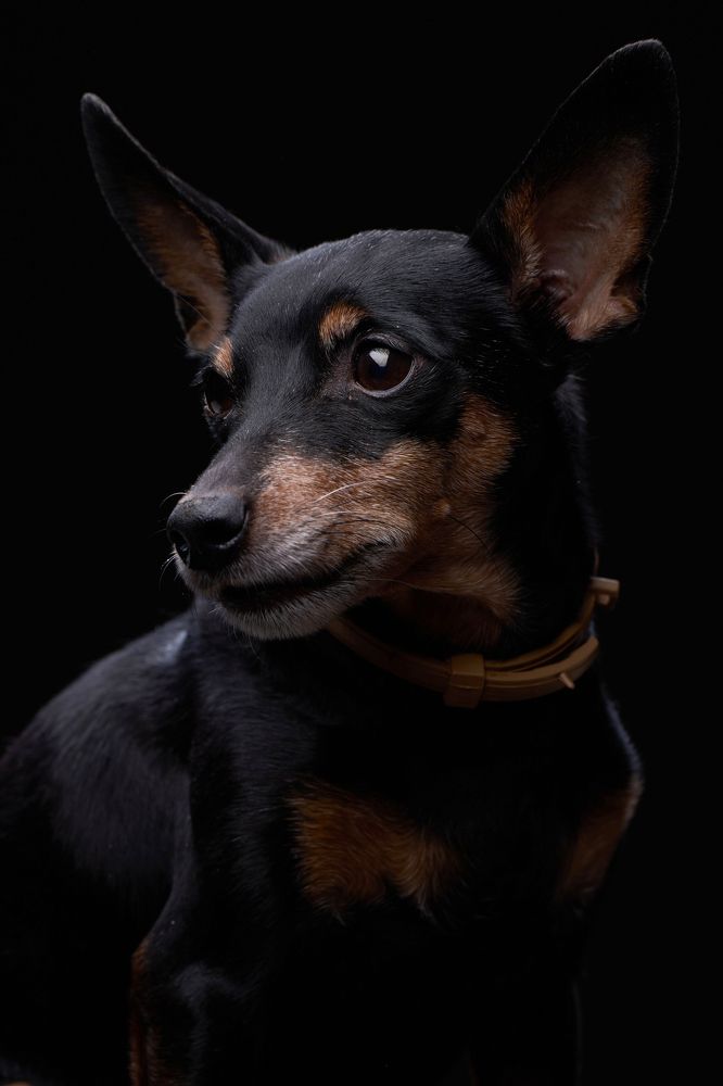 Photograph by Николай Корнилов