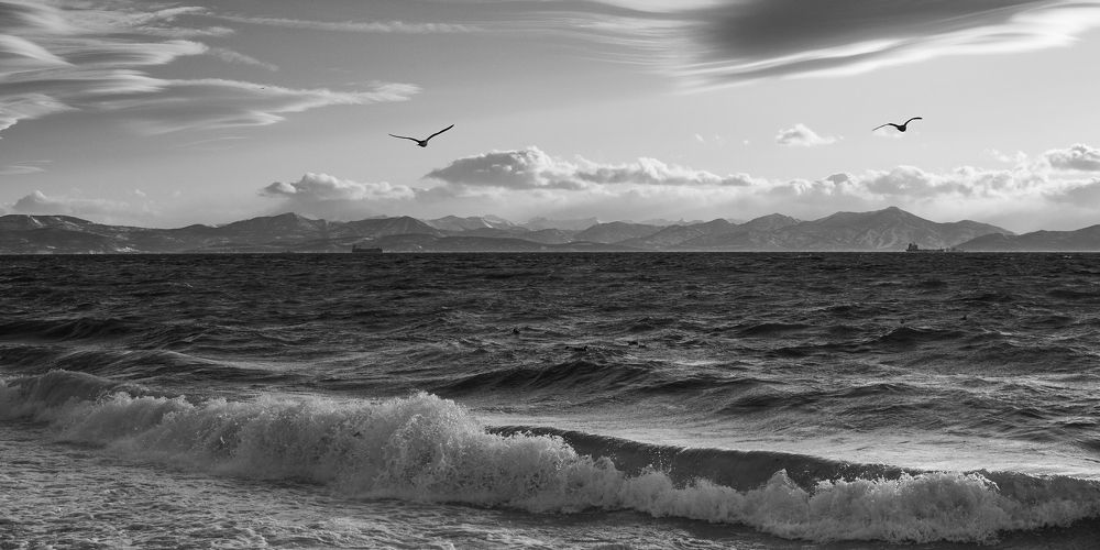 Photo #11607536