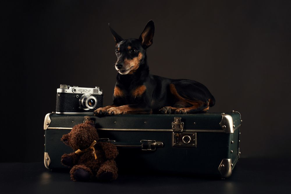 Photograph by Николай Корнилов