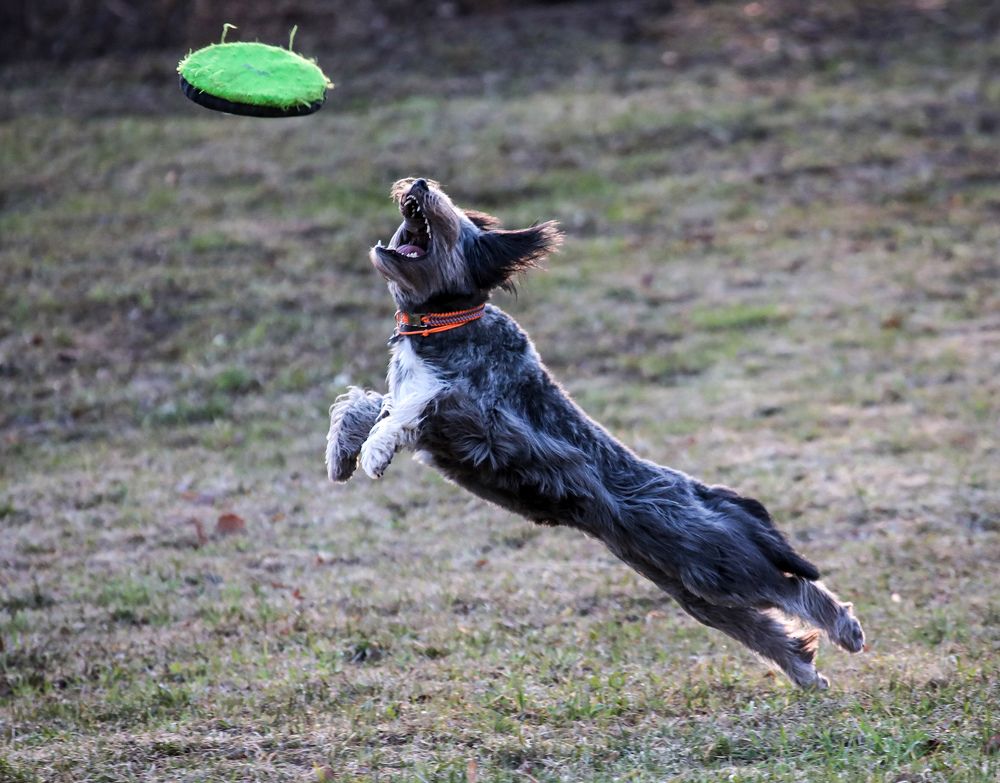 Photograph by Волынский Виктор