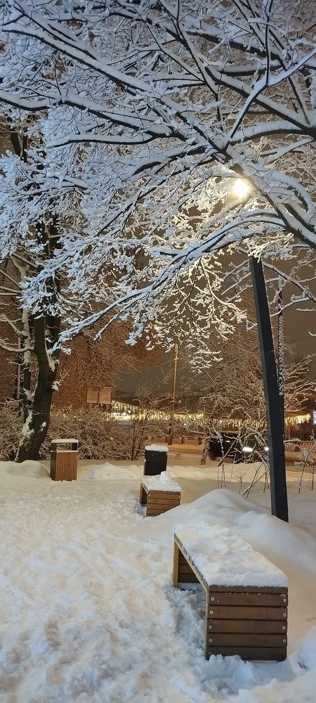 Photograph by Любовь Макарова