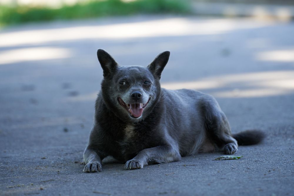 Photograph by Николай Корнилов